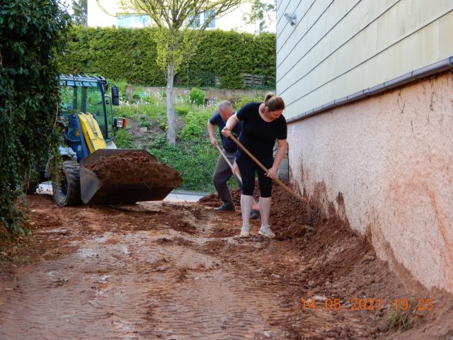 Bild von