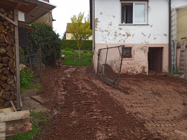 Bild von