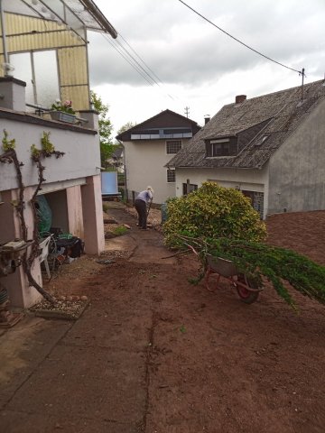 Bild von