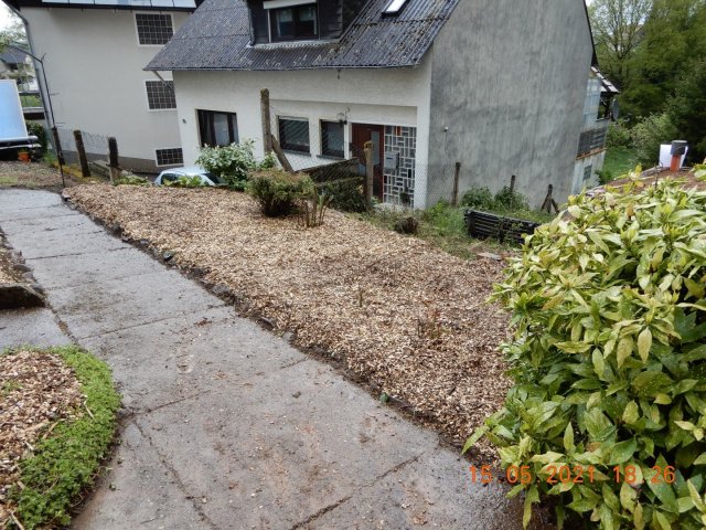 Bild von
