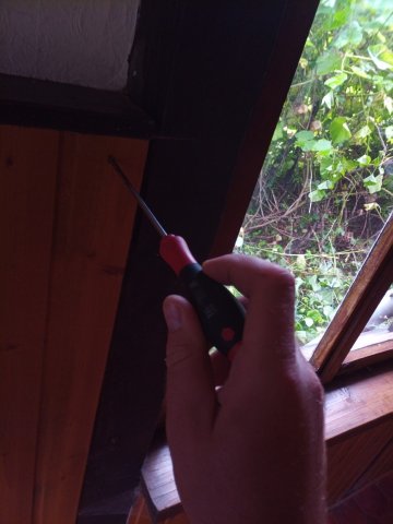 Bild von
