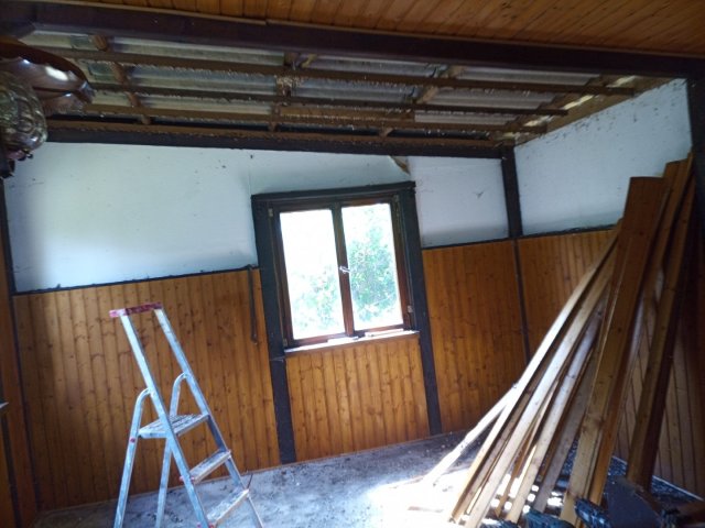 Bild von