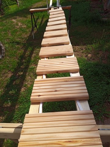 Bild von