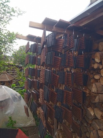 Bild von