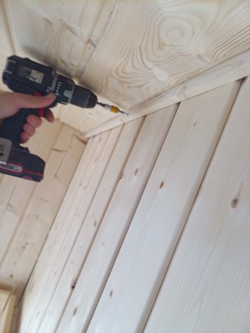 Bild von