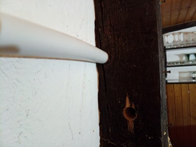 Bild von