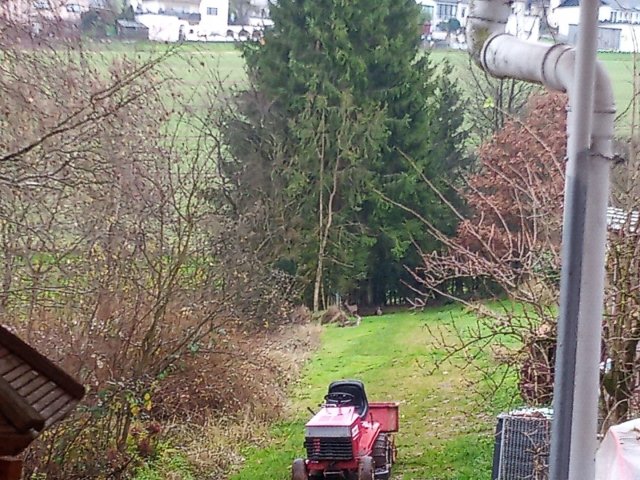 Bild von