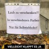 Profis am Werk » Profis am Werk 46