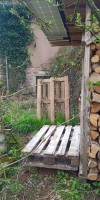 Bild von