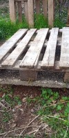 Bild von