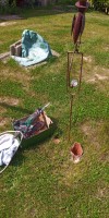 Bild von