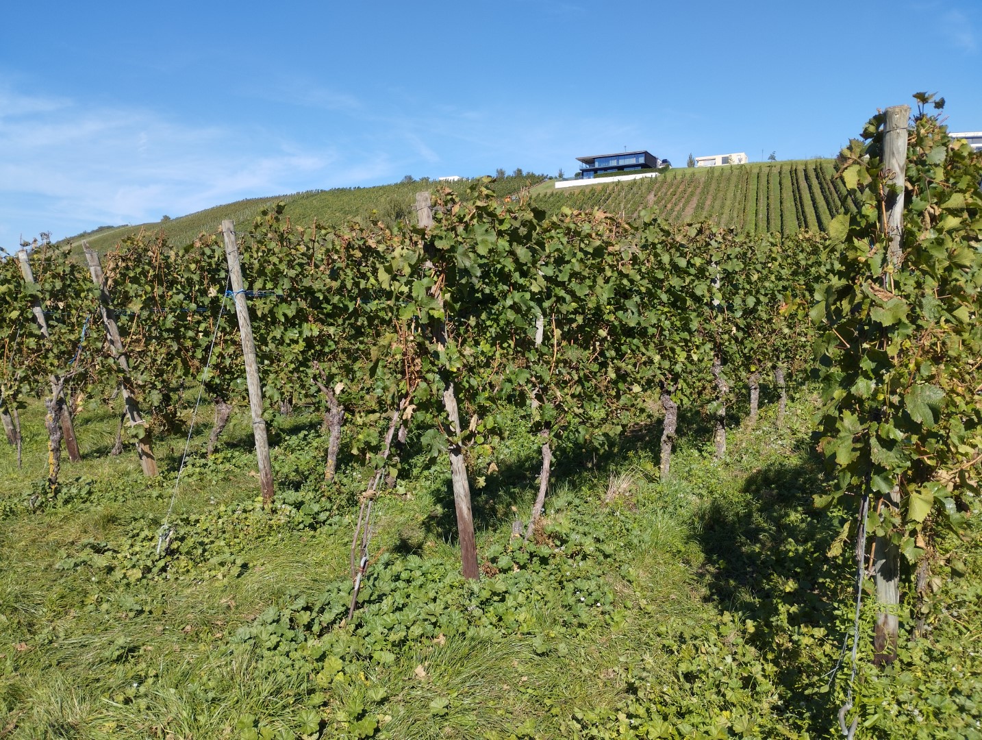 Trigano Oceane Faltcaravan Elektroauto Wohnwagen Camping Falter Wohnanhaenger