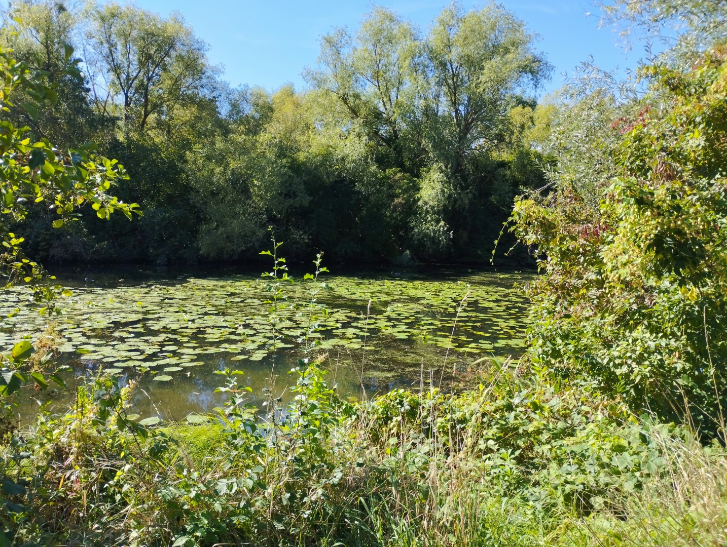 Trigano Oceane Faltcaravan Elektroauto Wohnwagen Camping Falter Wohnanhaenger