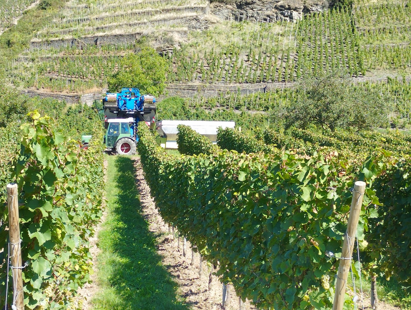 Trigano Oceane Faltcaravan Elektroauto Wohnwagen Camping Falter Wohnanhaenger