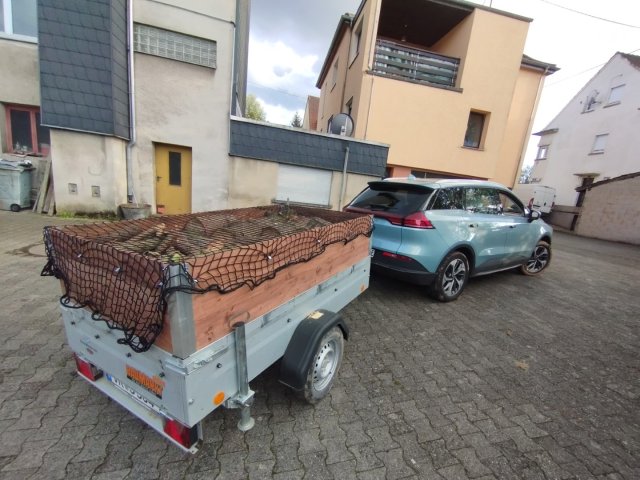 Brennholz mit der Kettensäge Greencut Baug Demon Scheppach Güde Fuxtec Motorsäge aus dem Baumarkt aus China selbst machen für den wasserführenden Ofen zum Geld sparen und günstig Heizen