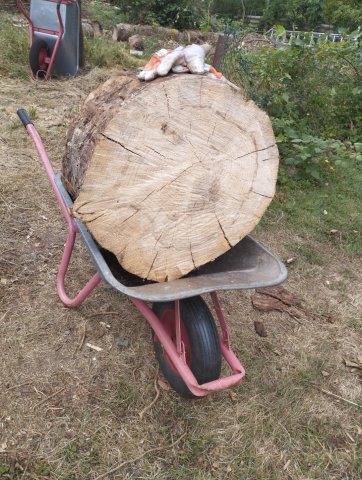 Brennholz mit der Kettensäge Greencut Baug Demon Scheppach Güde Fuxtec Motorsäge aus dem Baumarkt aus China selbst machen für den wasserführenden Ofen zum Geld sparen und günstig Heizen