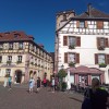 Bild von