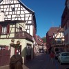 Bild von