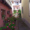 Bild von
