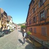 Bild von