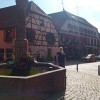 Bild von