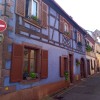 Bild von
