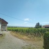 Bild von
