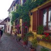 Bild von