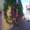Bild von