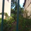 Bild von