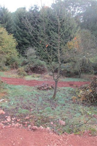 Bild von Gartenhausgraben