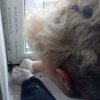 Bild von 