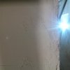 Bild von 