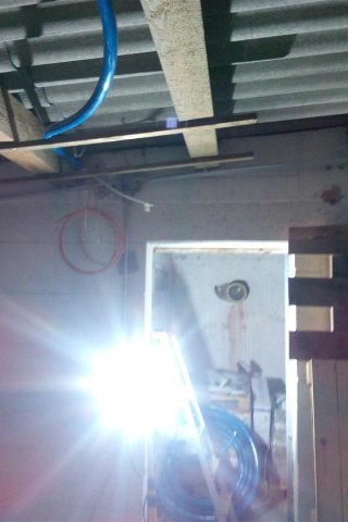 Bild von 