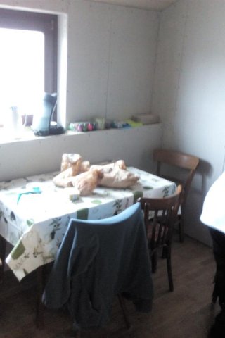 Bild von 