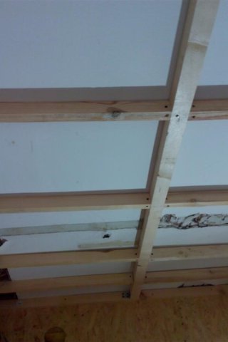 Bild von 