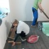 Bild von 