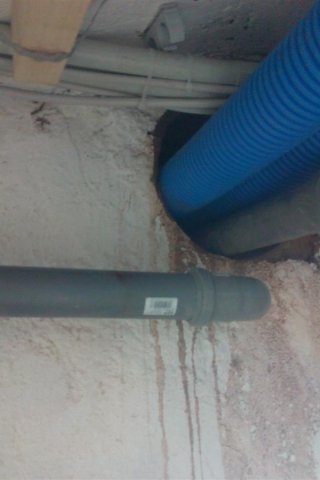 Bild von 