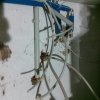Bild von 