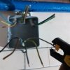 Bild von 
