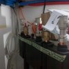 Bild von 