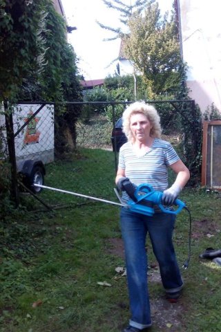 Bild von Heidi