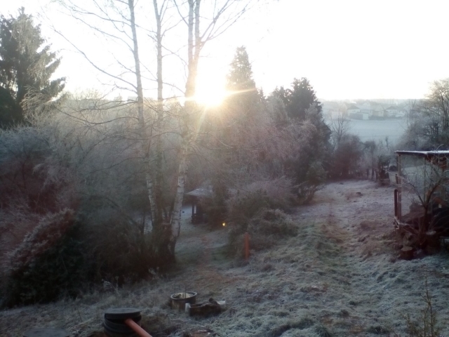 Garten WInter Schnee