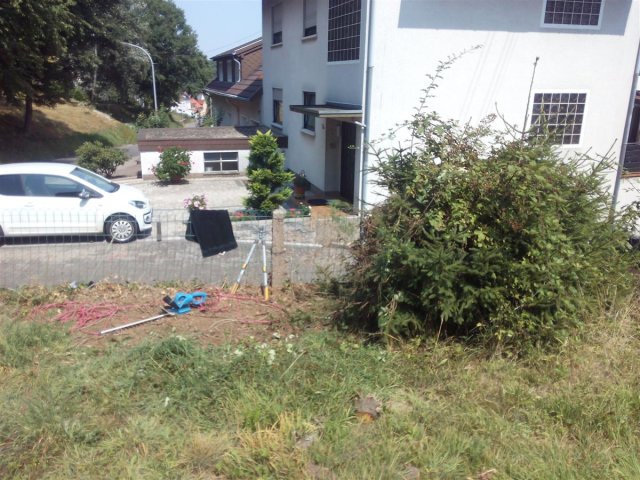 Bild von 
