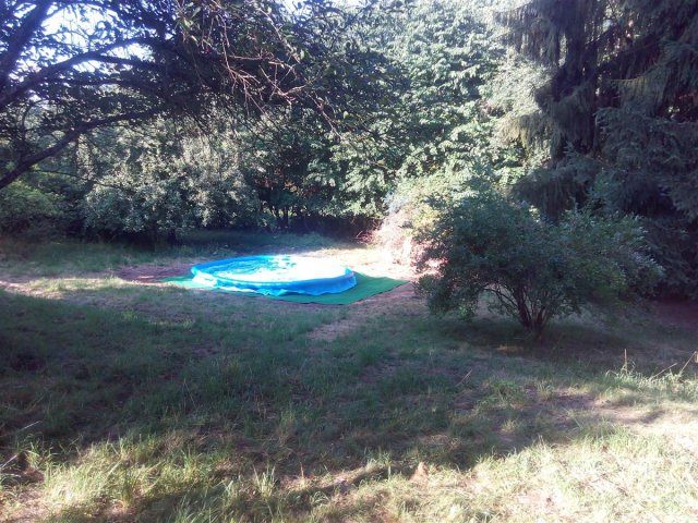 Bild von 