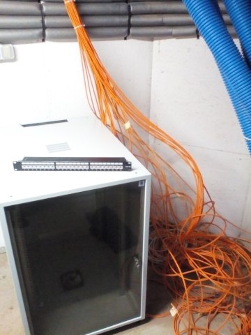 Bild von