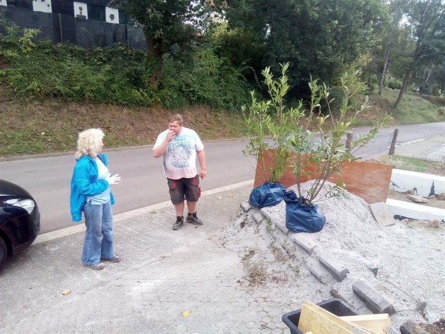 Bild von 