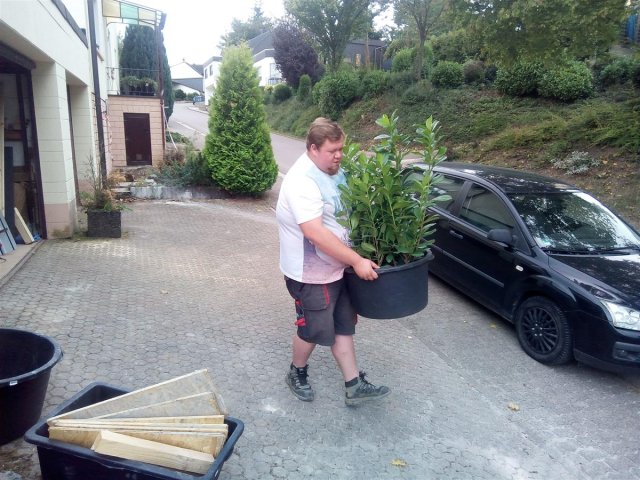 Bild von 