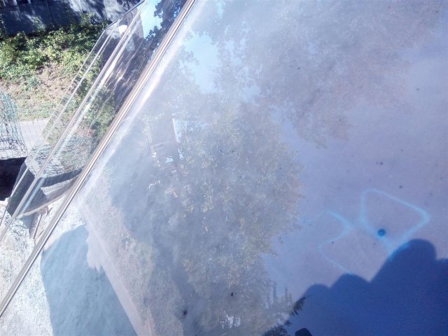 Bild von 