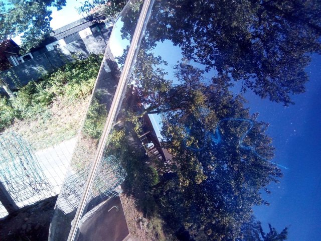 Bild von 